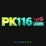 PK116 Game Logo